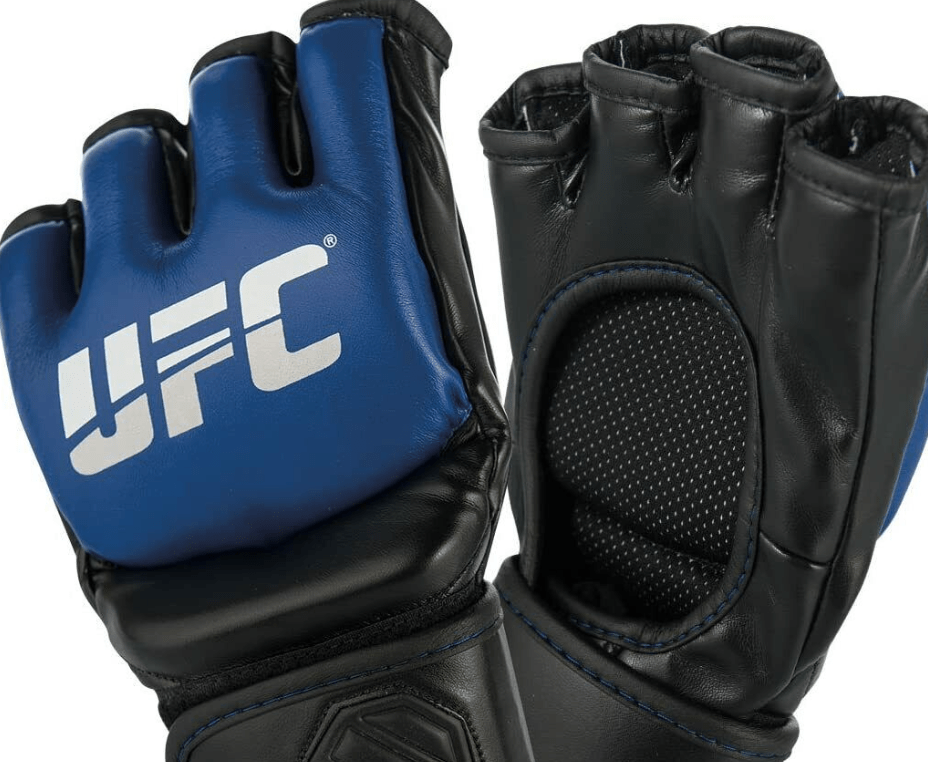 The Rigorous Training Regimens of Elite MMA Fighters